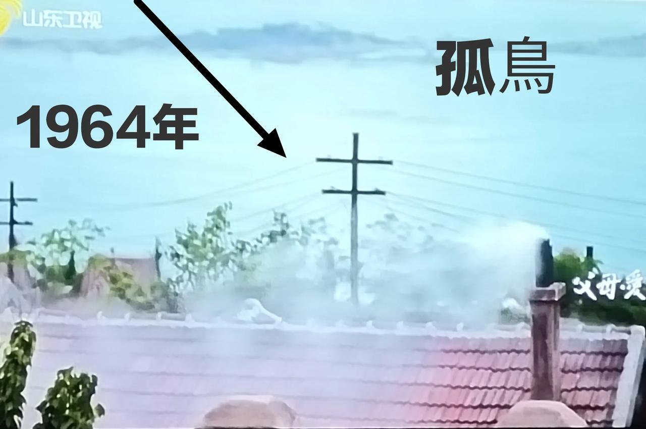 《父母愛情》:1964年，孤島是電線？？？