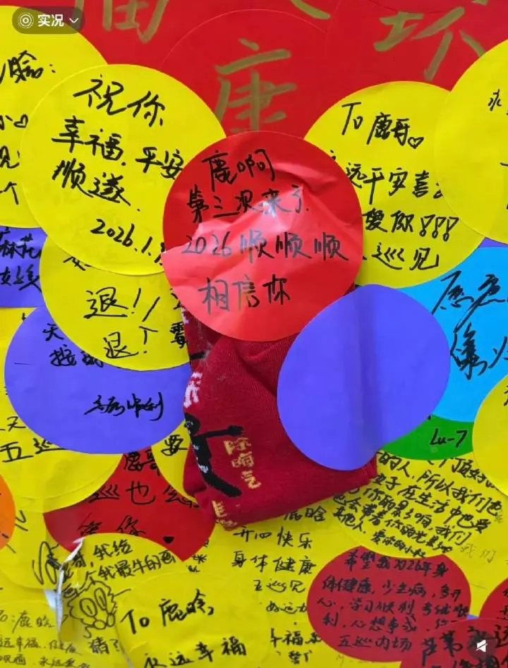 这个小鹿鹿好宠🥹🥹