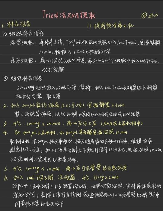 RNA提取protocol❗（超详细版）