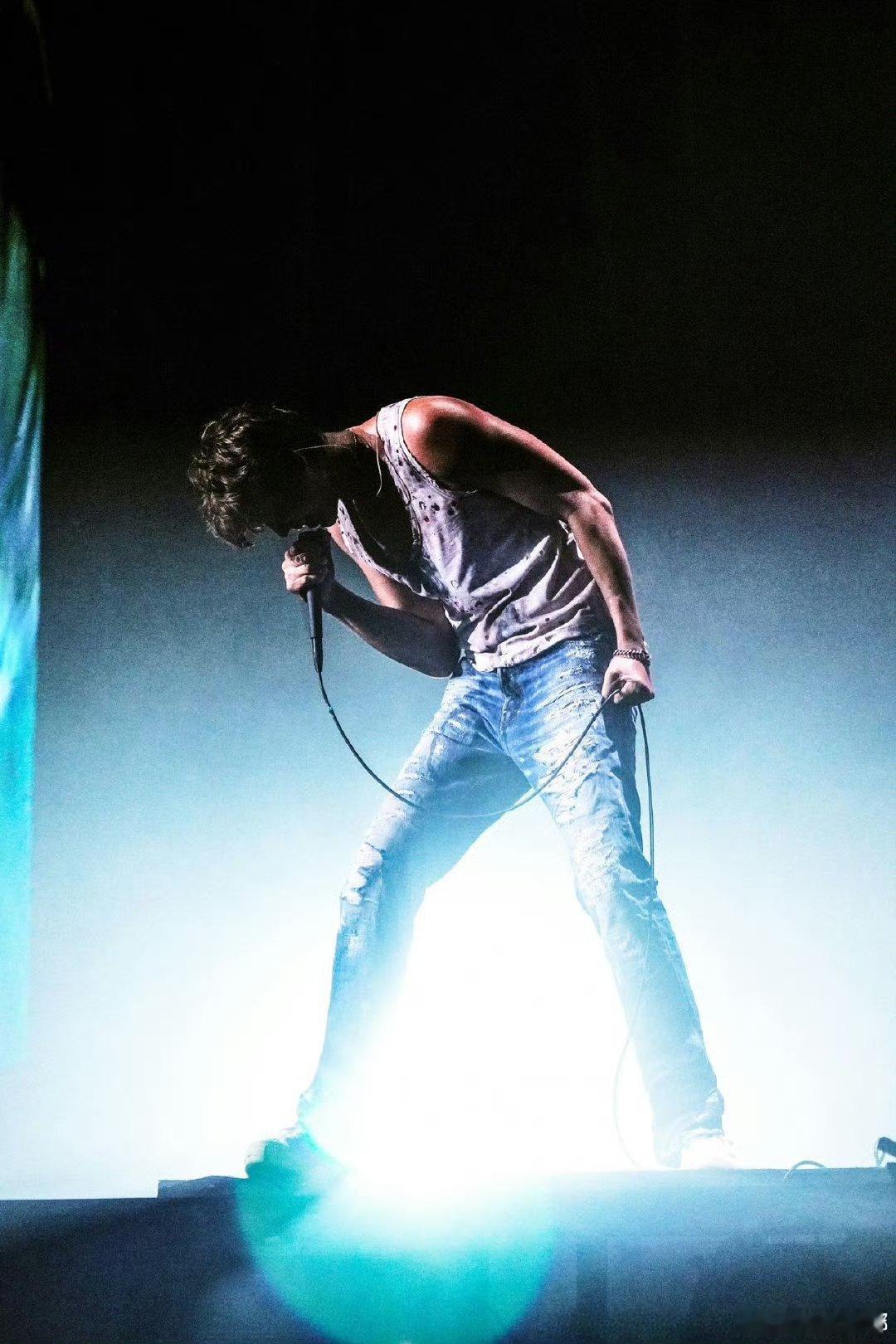 苏见信在评论区翻尽兴了  谁懂啊！刚被巡演消息激动到睡不着，又刷到苏见信评论区翻