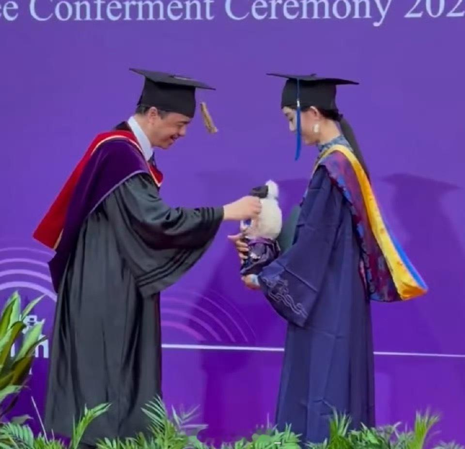 全世界学历最高的labubu来了，清华大学成功毕业！！！[悲伤] ​ ​​​