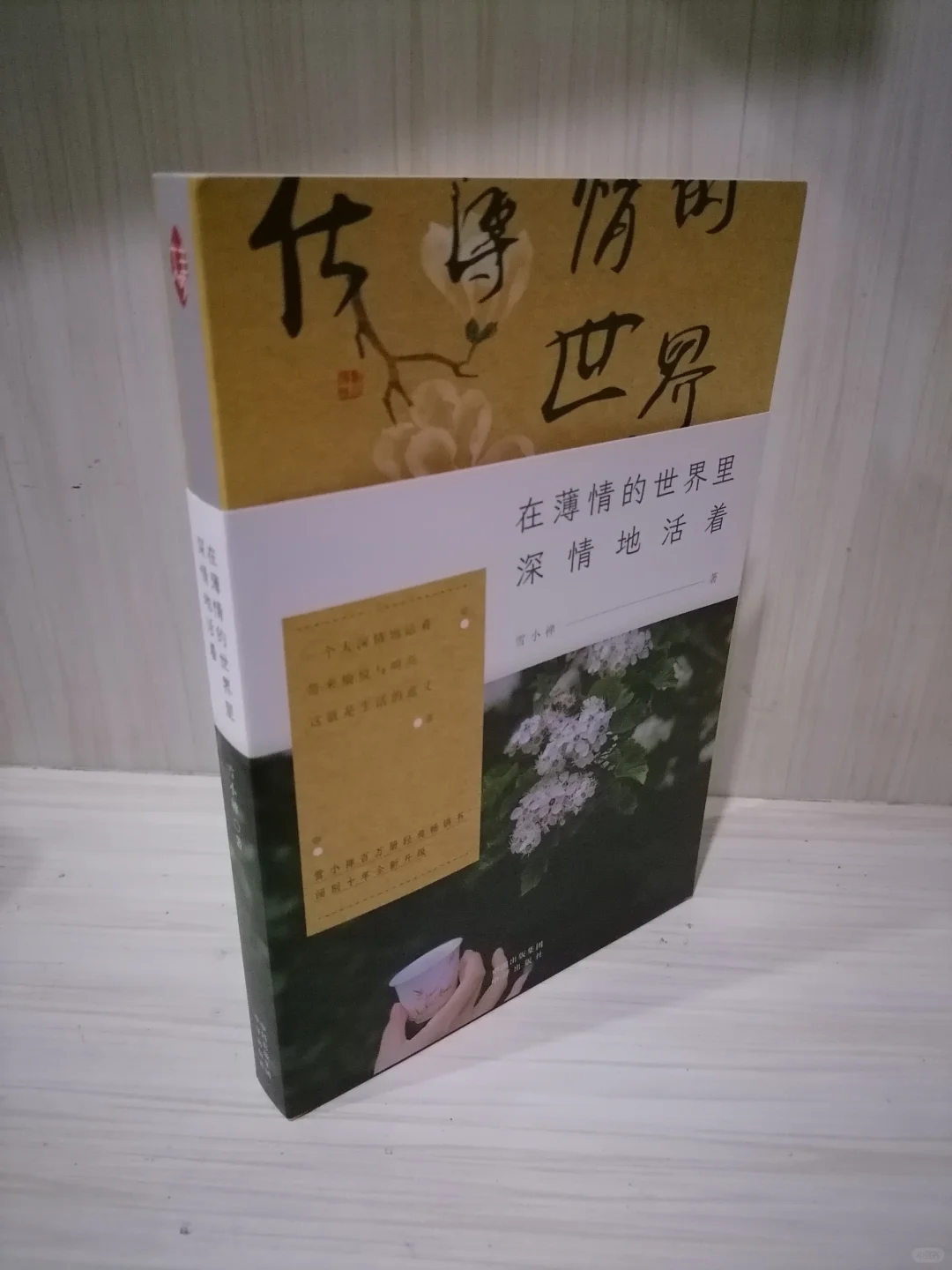 生活的无限可能与静水流深的智慧