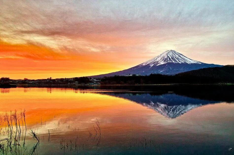 日本的悲与喜诺奖揭晓，日本再次斩获好成绩。10月5号坂口志文获得诺贝尔医学奖。1