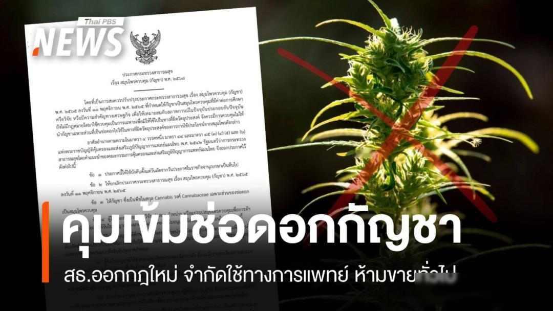 大麻合法三年后，泰国人后悔了，政府自己打脸
2025年6月，泰国政府忽然改变说法