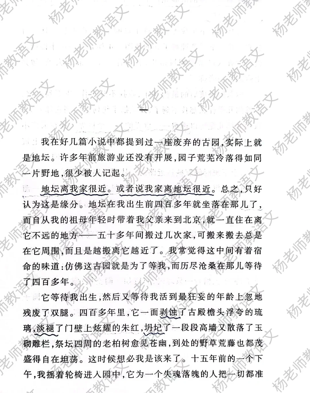 读史铁生的文字可以让心静下来☘️