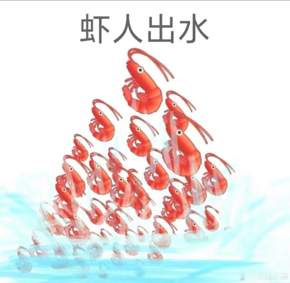 虾做图为什么那么好笑 