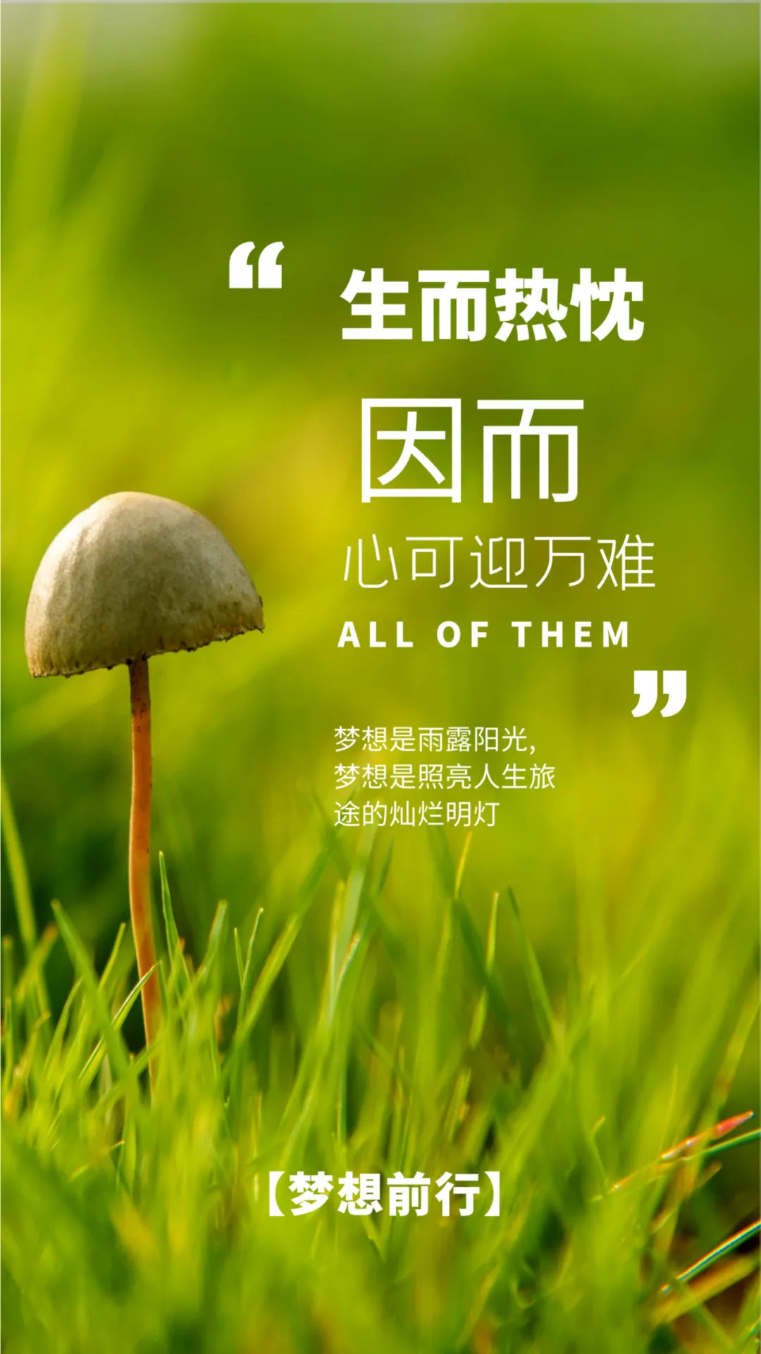 ✿成长这一路就是懂得闭嘴努力，知道低调谦逊，学会强大自己，在每一个值得珍惜的日子
