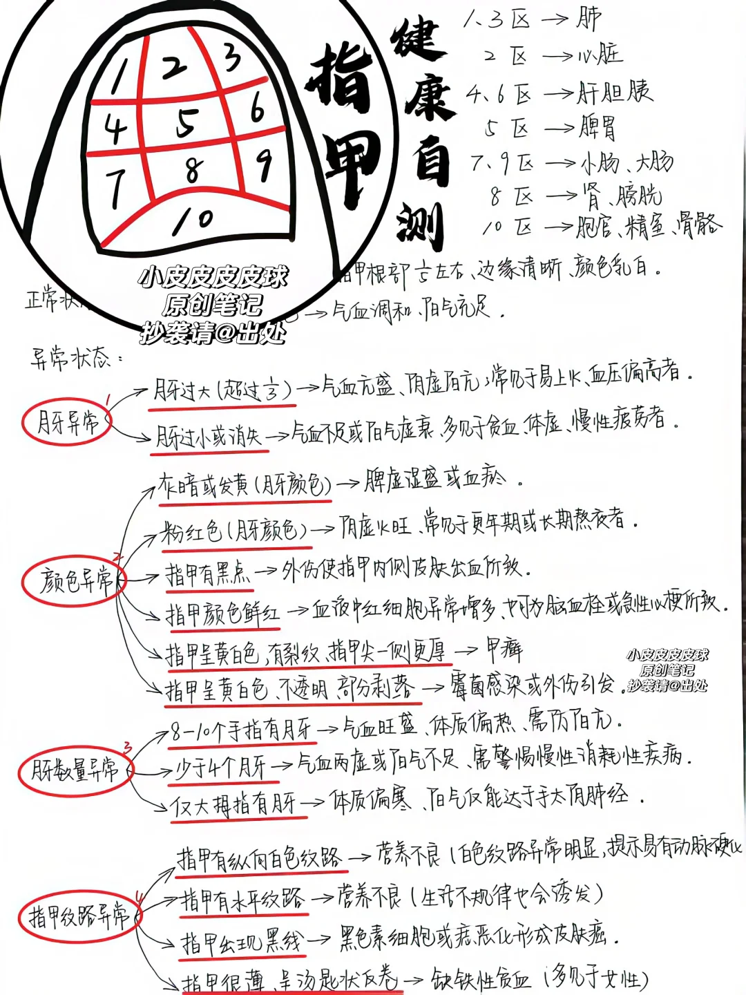 中医是如何从指甲月牙看气血状态的？