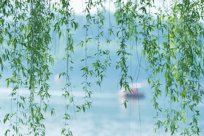 .  归来池苑皆依旧，太液芙蓉未央柳。 芙蓉如面柳如眉，对此如何不泪垂？(节选)