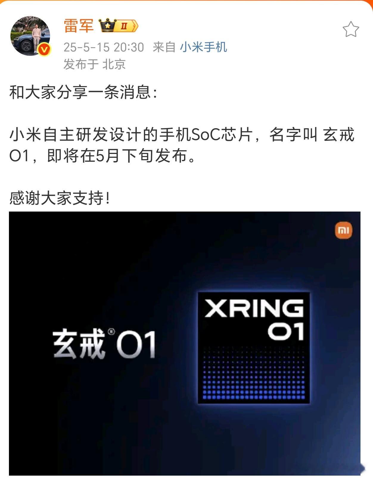 雷军说十年饮冰难凉热血又一家自研芯片来了 目前就只有华为和小米在搞这方面的吧[并