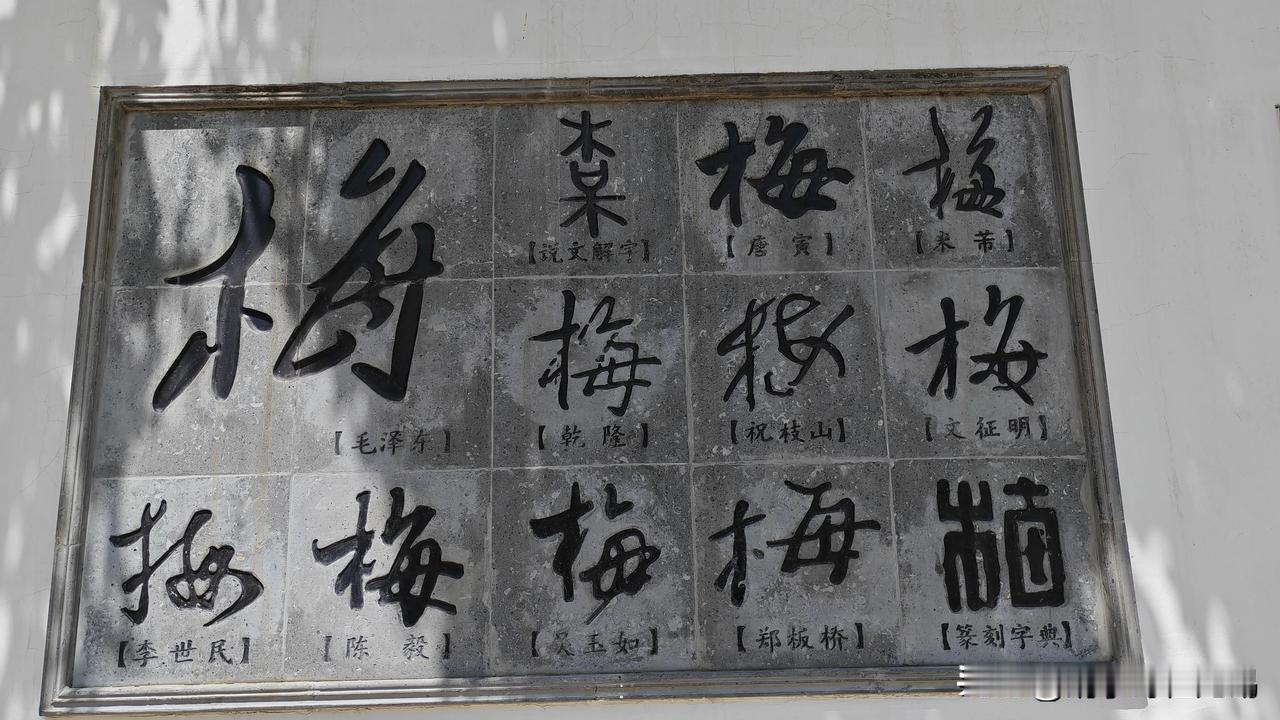 “梅”字有多少种写法？