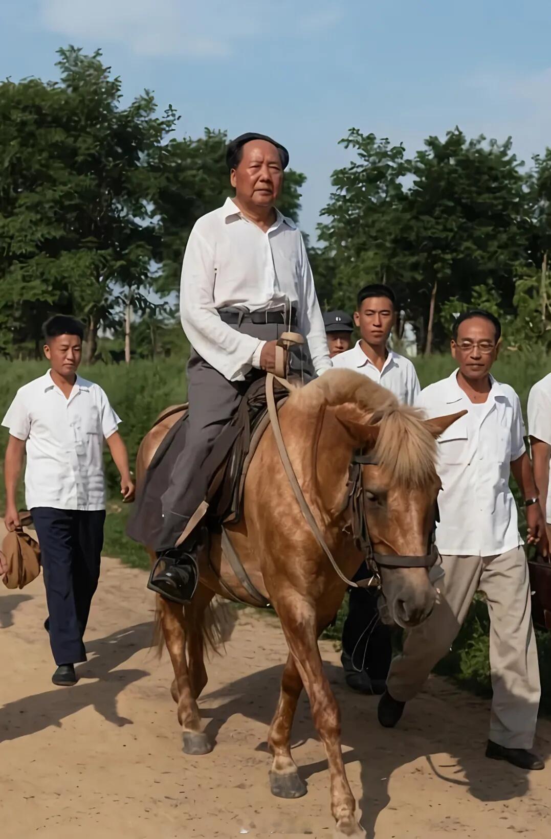 毛泽东同志 毛主席让中华文明重新变年轻了。我们要传承中华五千年的智慧，也继承他的