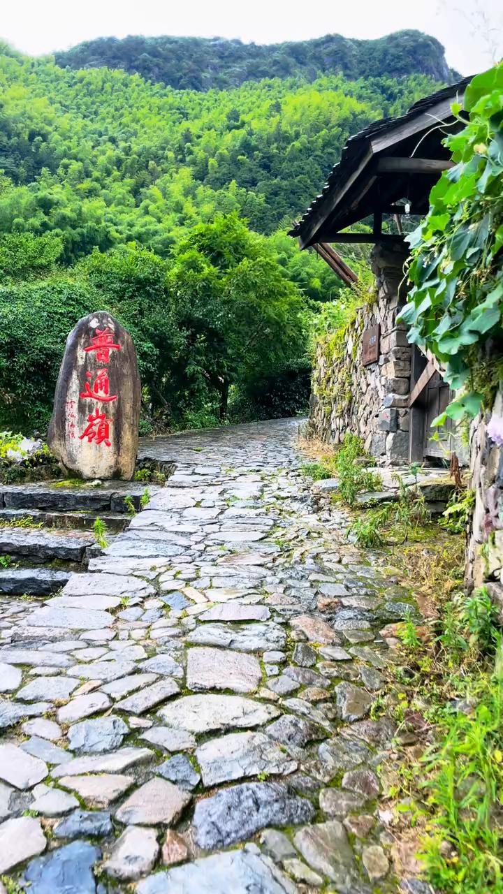 我听人说思念像风一样能到达任何地方。我希望风起，爱你好像更希望风停下来，奈何思念