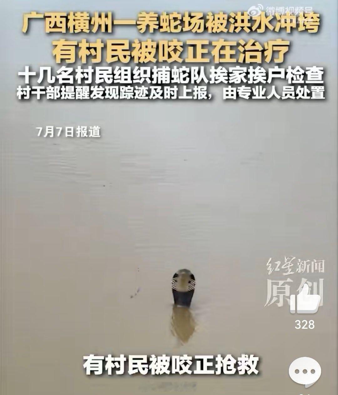 横州急需蛇毒血清有人被毒蛇咬伤  看着很揪心受这次洪水影响，一个养蛇场被冲毁了，