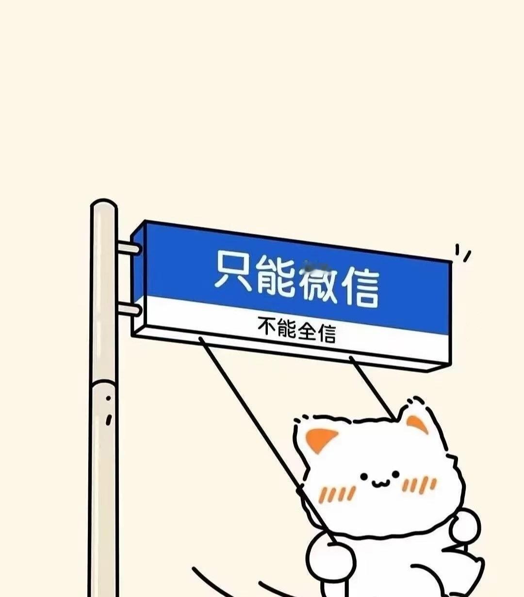 车企产品上市前期的用户调研，我以顾问的形式参与过很多次我觉得对上市层面的战略决策
