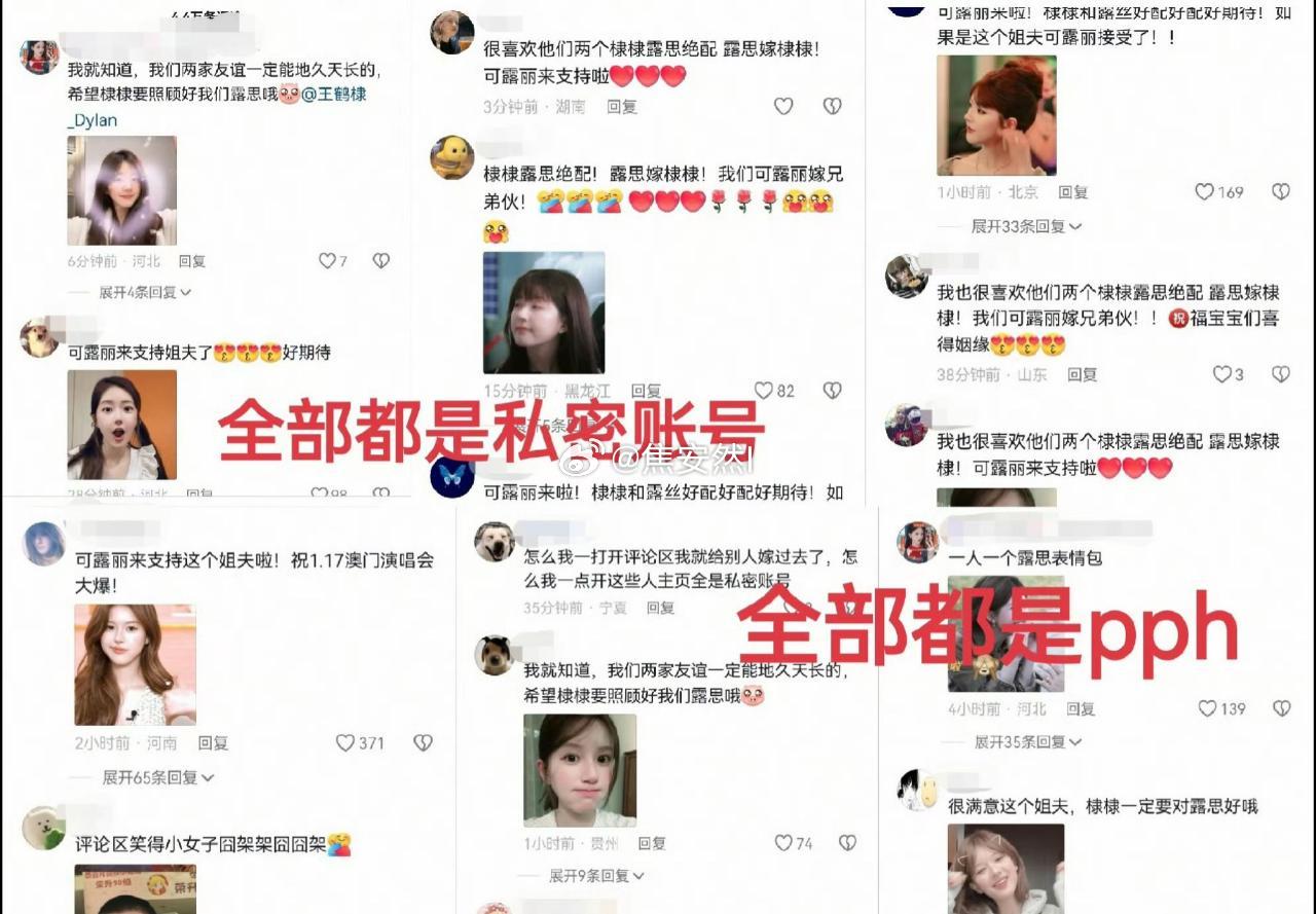 全是pph，棣丝和可露丽不要被骗 