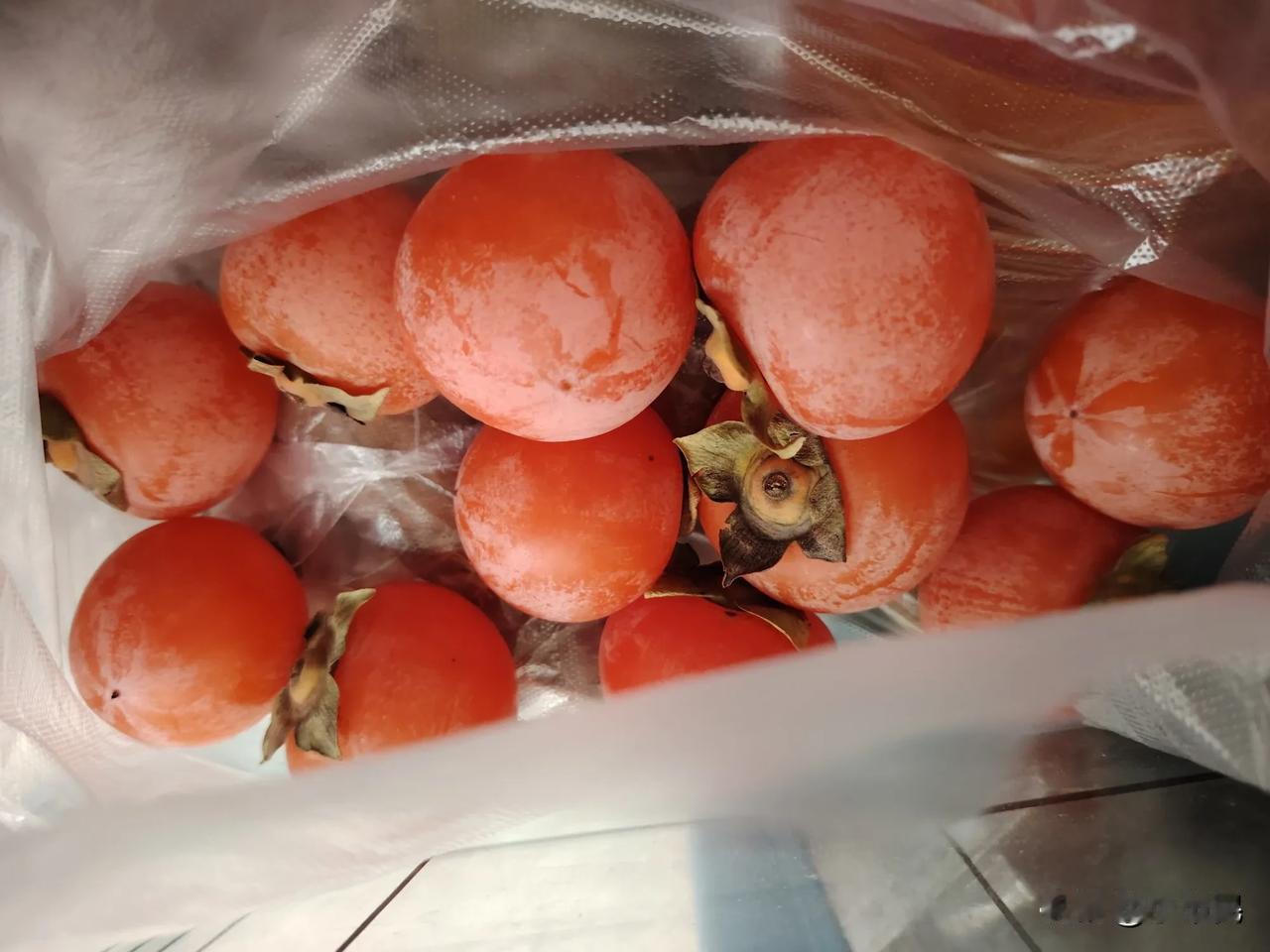 这柿子也太好吃了吧？简直好吃到停不下来，一口气吃了七八个。
今天去早市，早市上一