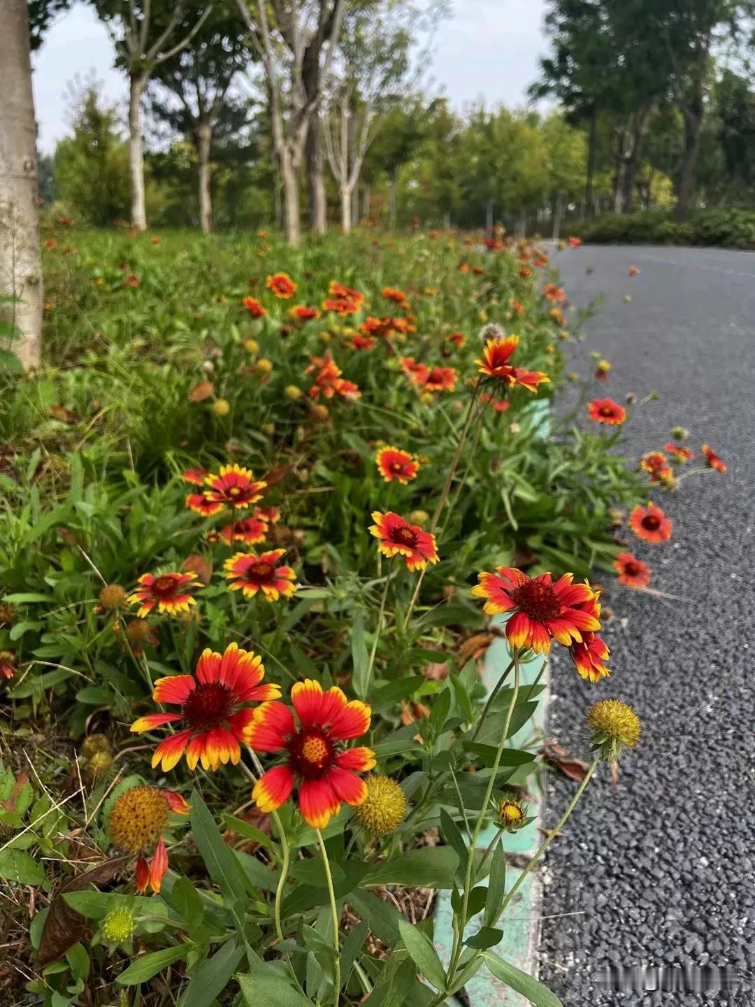 读书不一定能让你，功成名就，前程似锦，
但能让你，出言有尺，嬉闹有度，说话有德，