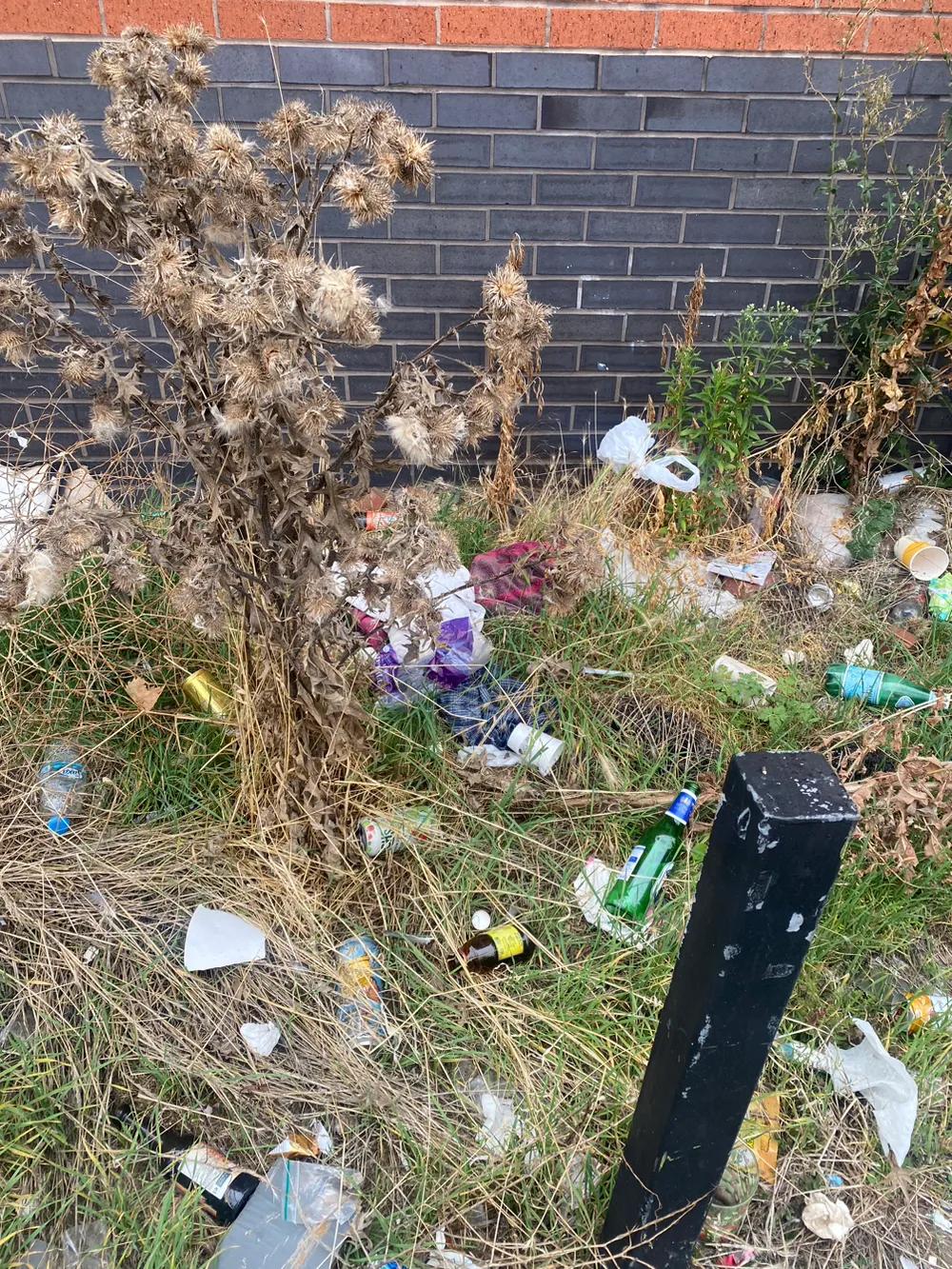 英国现在真的脏乱差！