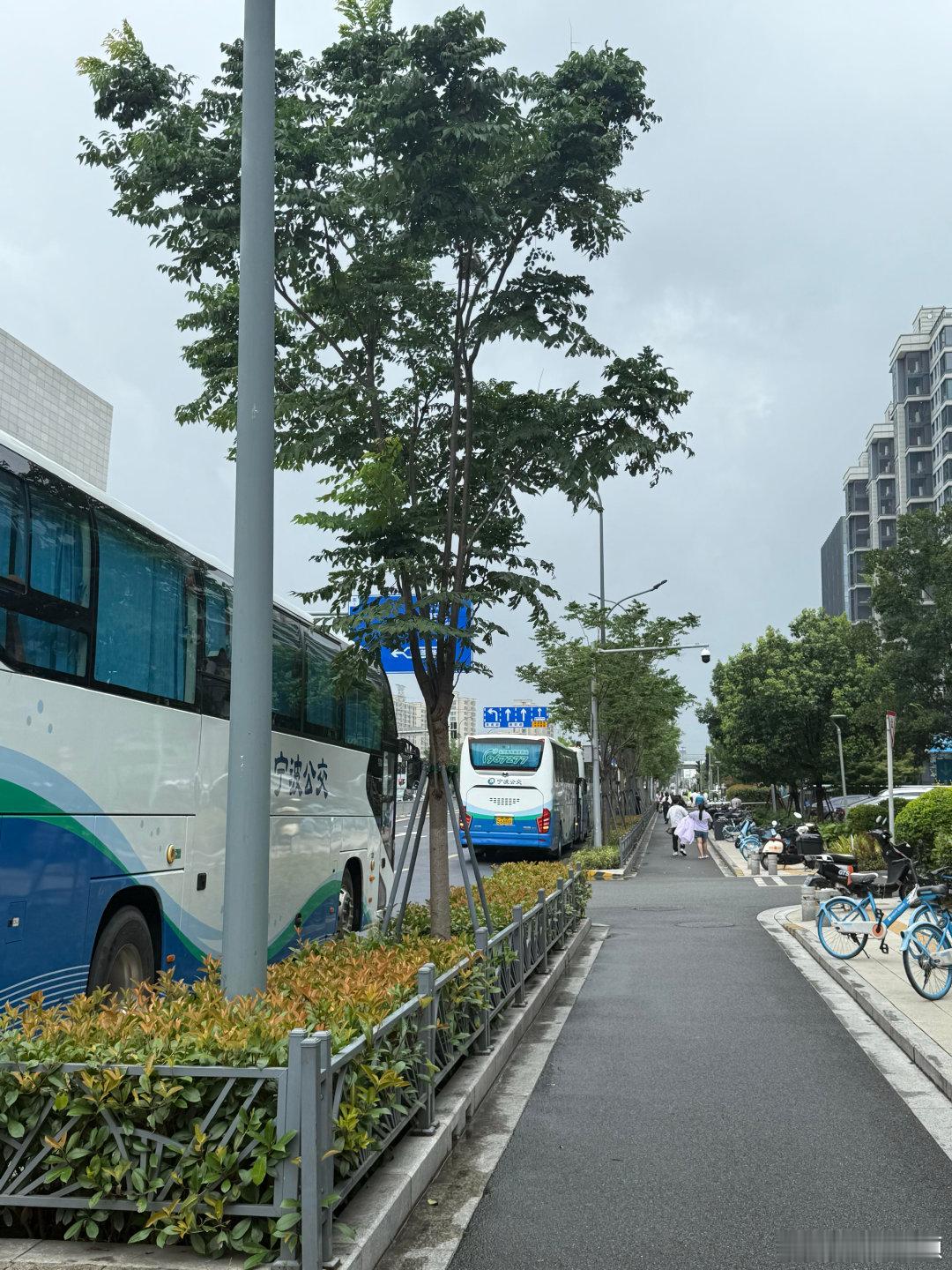 宁波是个非常有爱的城市 网友“知有”发帖：被宁波狠狠戳中！一座满是善意的城市台风