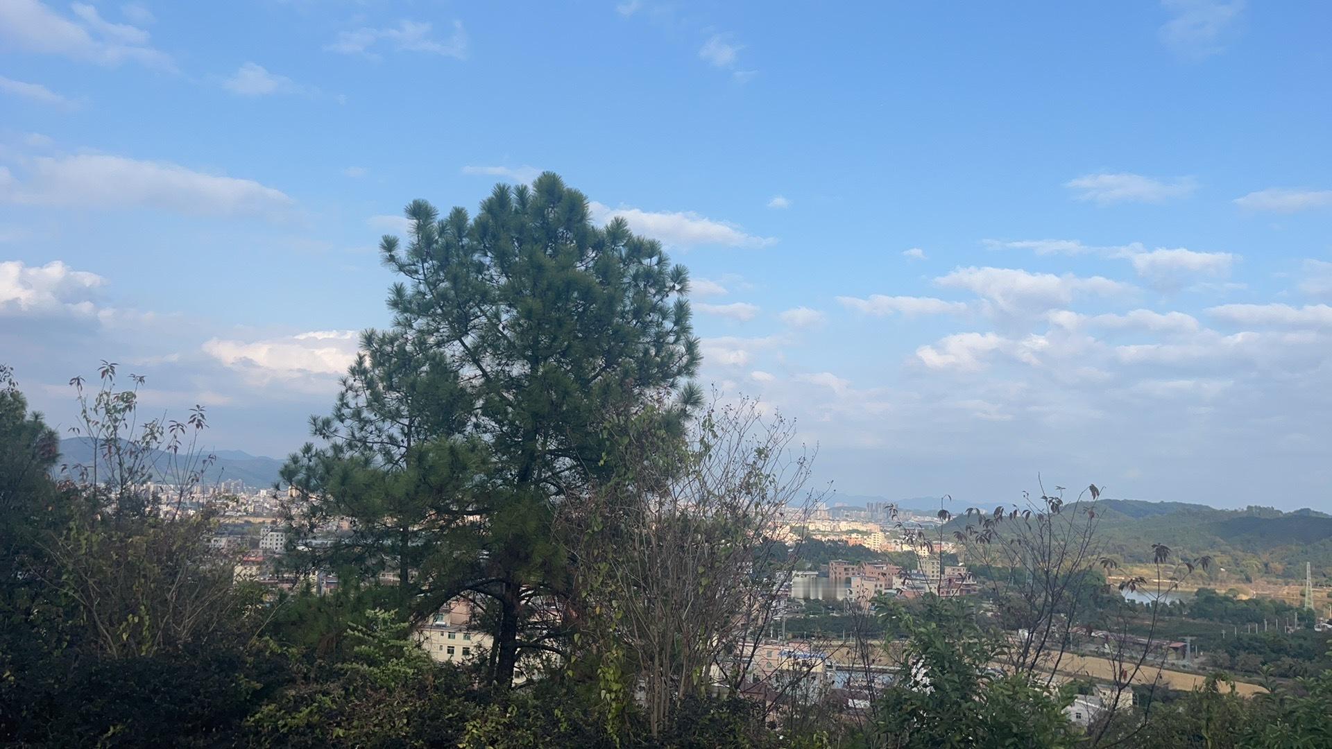 早上好！愿清晨的阳光，带给你一天的好心情和满满的元气。 