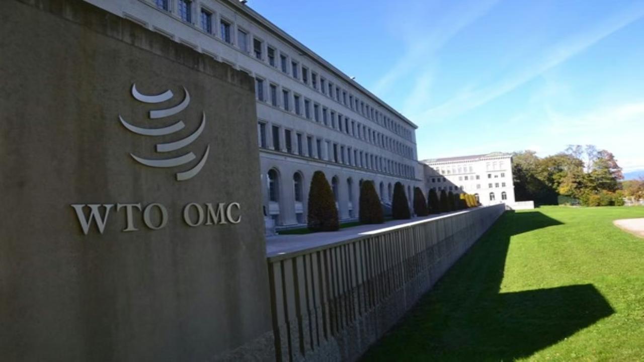 从喀麦隆举行的WTO会议来看，当前全球贸易博弈的焦点已经从具体条款转向制度主导权