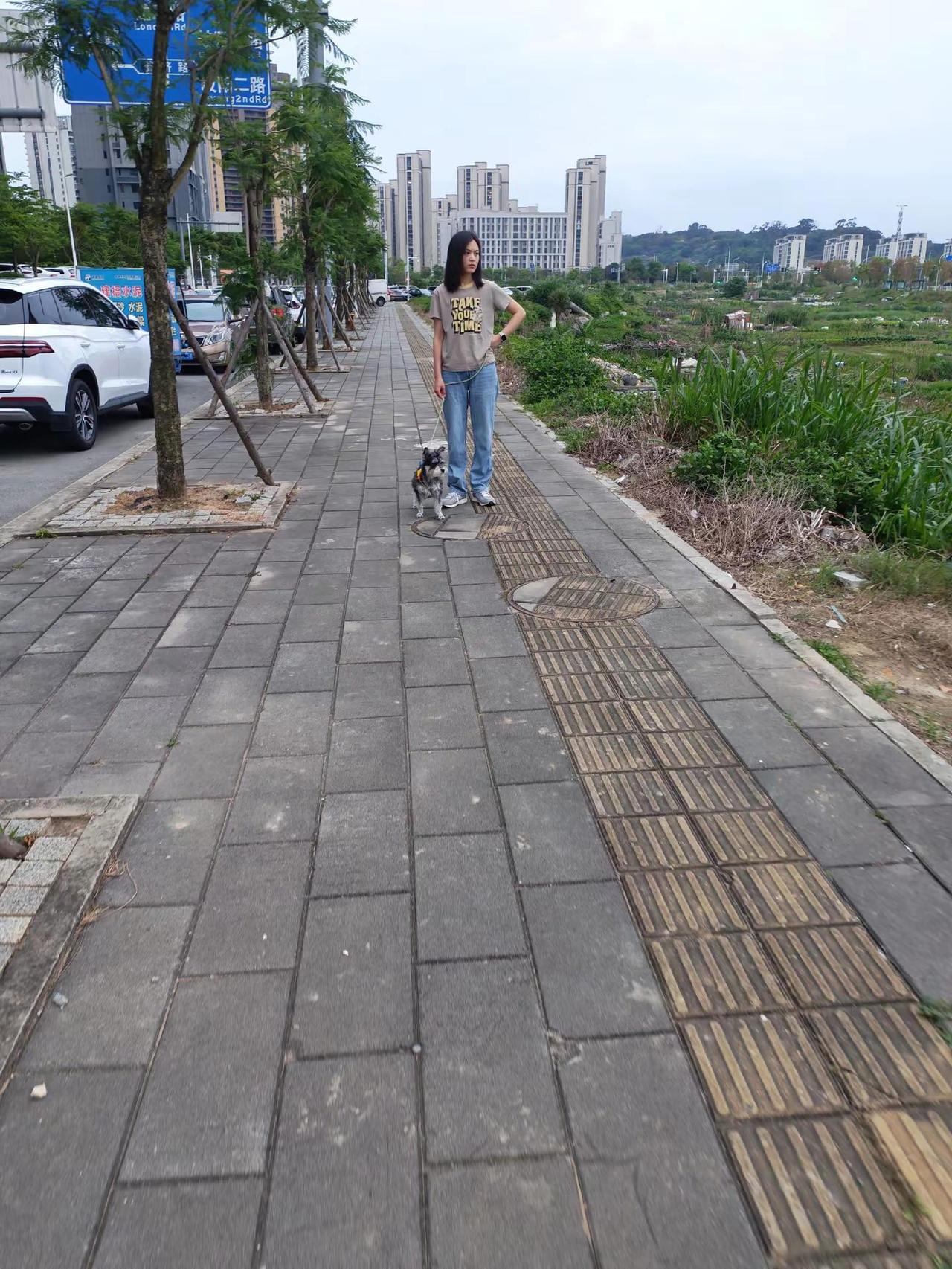 听说经常遛狗的女子，基本上都是单身