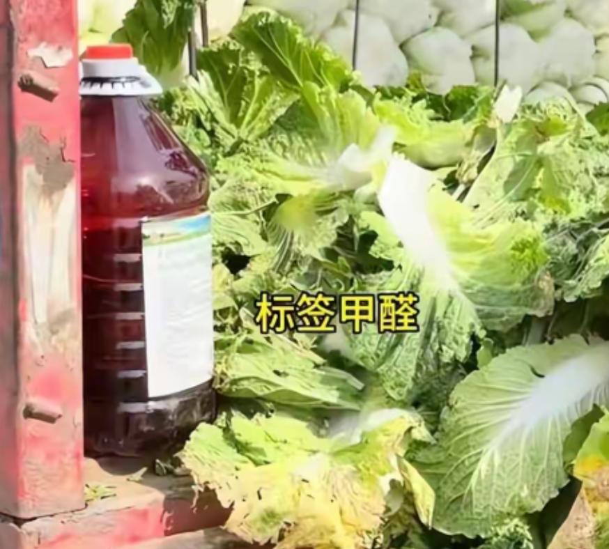 部委火速介入，“甲醛白菜”乱象被推到台前。暴利生意藏了12年，像披着菜叶的毒雾，