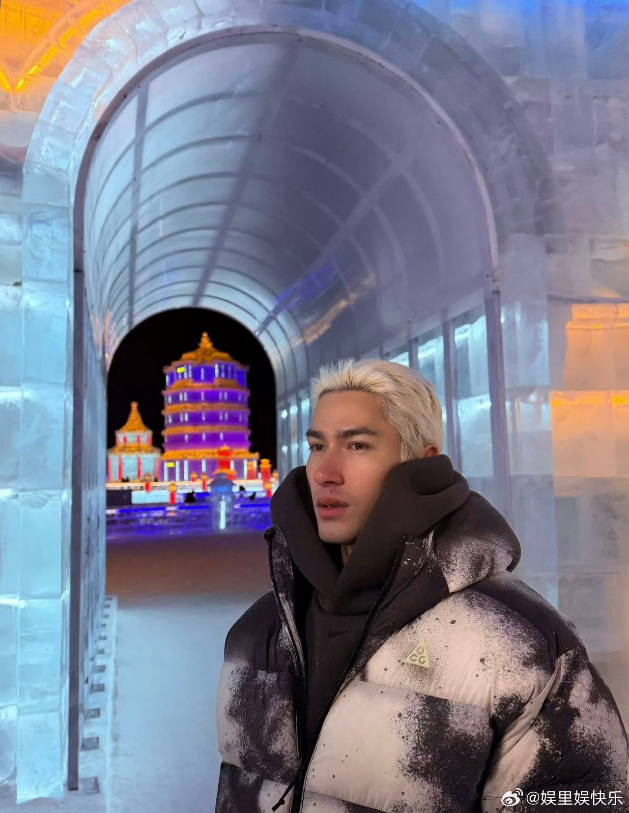 米卡父子东北游vlog 抓大鹅现场太热闹！米卡追得气喘吁吁，大鹅扑棱翅膀跑，农家