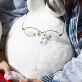 鼬读读影视剧