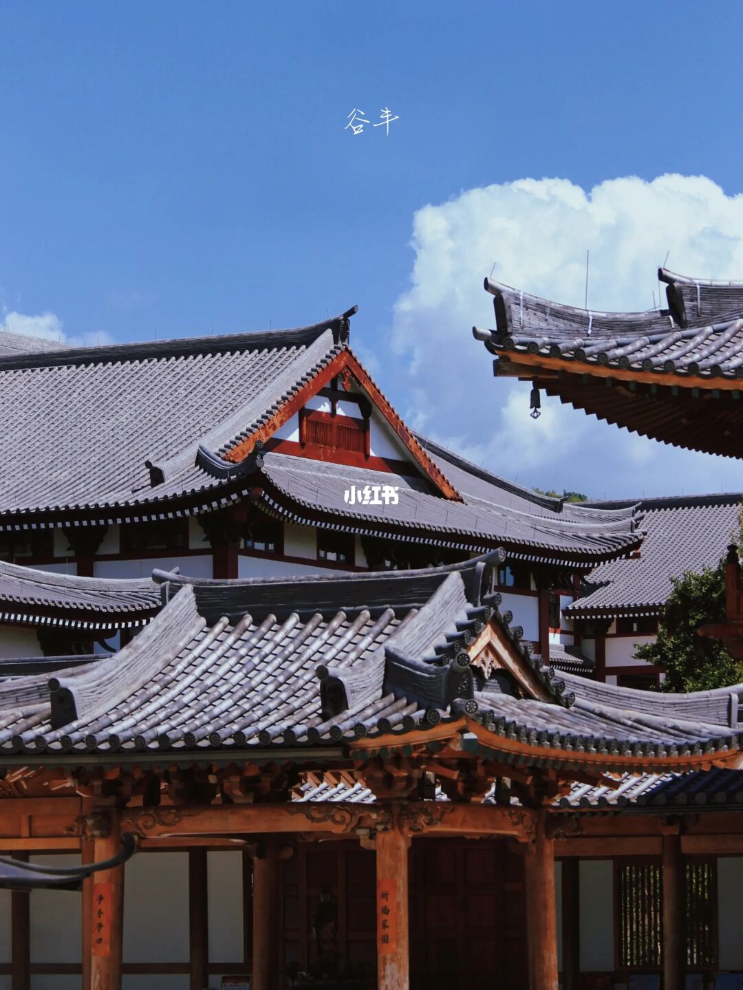 大隐隐于市的唐风寺院🙏超小众❗️超好拍