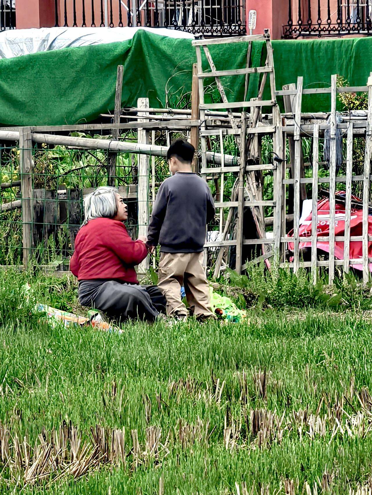 人老了，就怕患上痴呆症。出走半天，找了半天，终于在田头废物堆积的地方找到了，虚惊