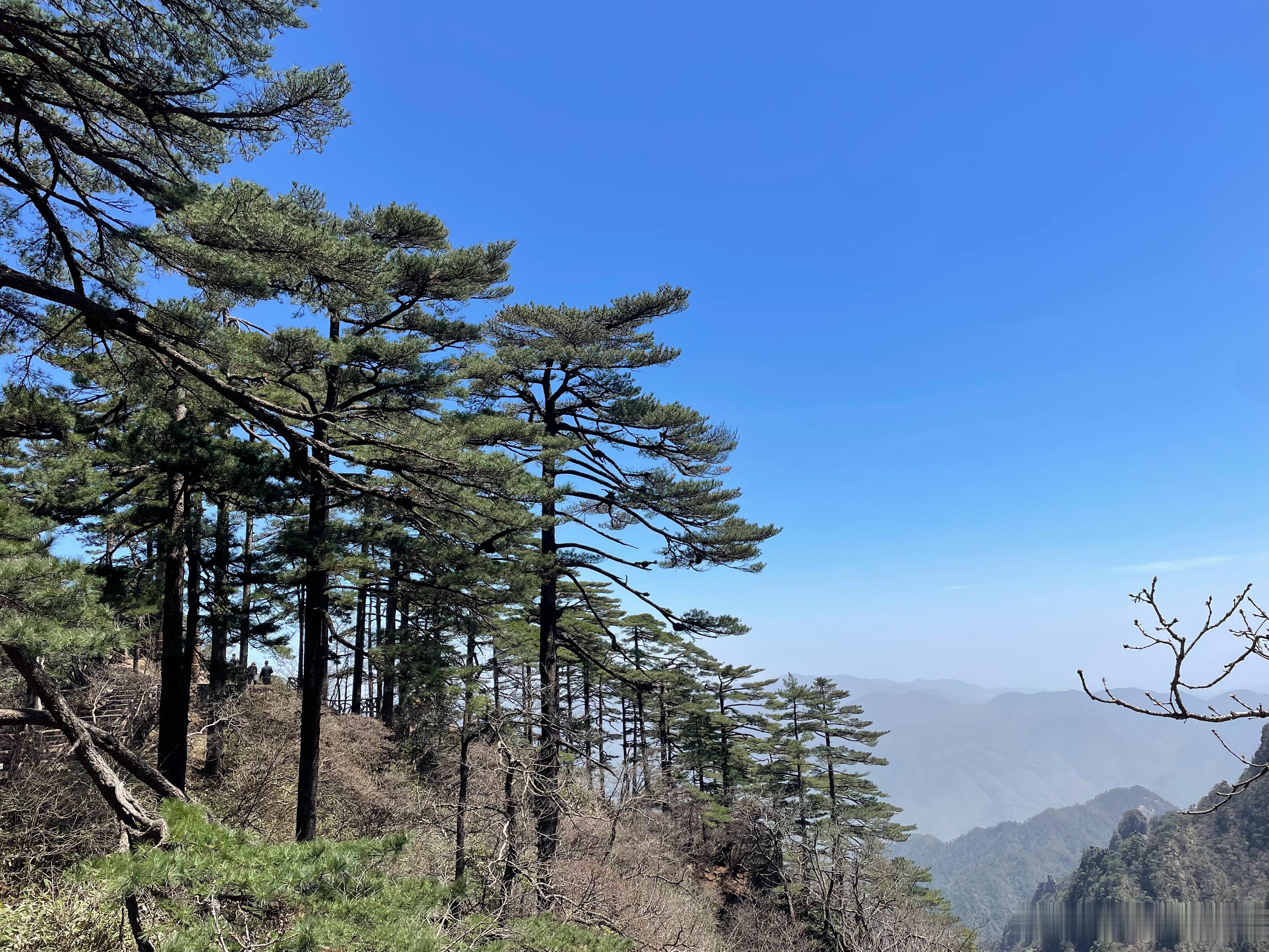 成熟的人，要么学会赞美要么学会闭嘴 襄阳