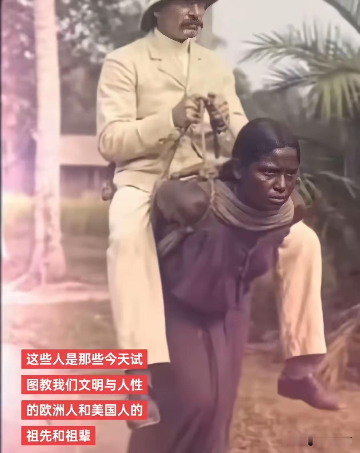 一个是哀其不幸，怒其不争！一个是皮毛带角，毫无廉耻！ 