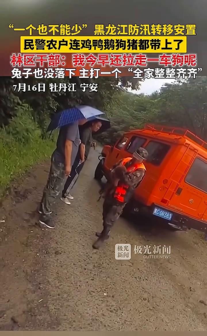 "一个也不能少"黑龙江防汛转移安置，民警农户连鸡鸭鹅狗猪都带上了。林区干部：我今