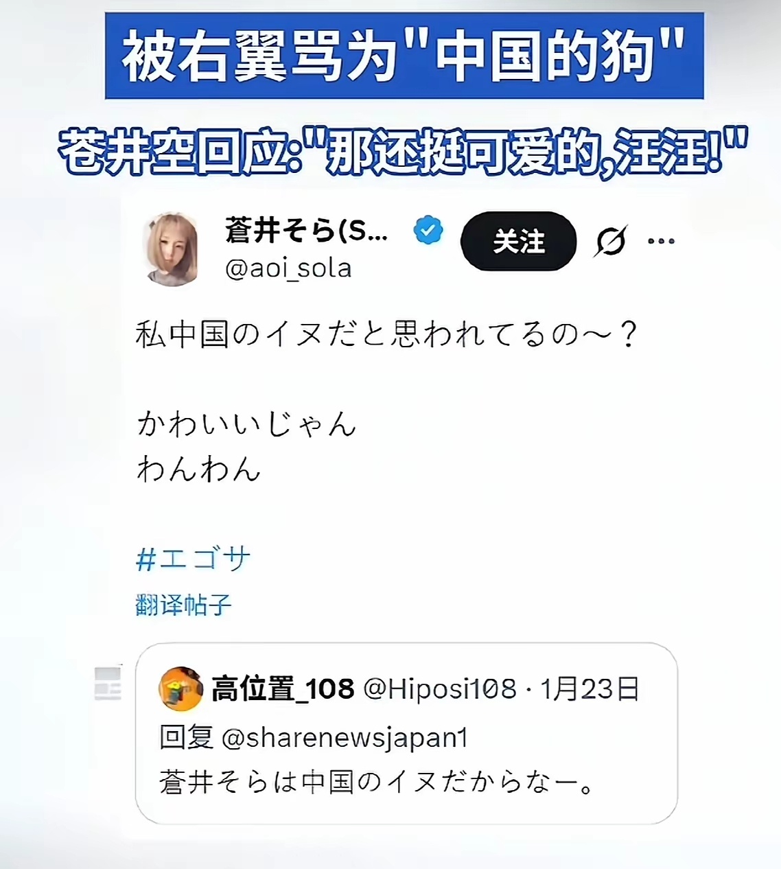 苍井空被日本右翼骂为“中国的狗”。 