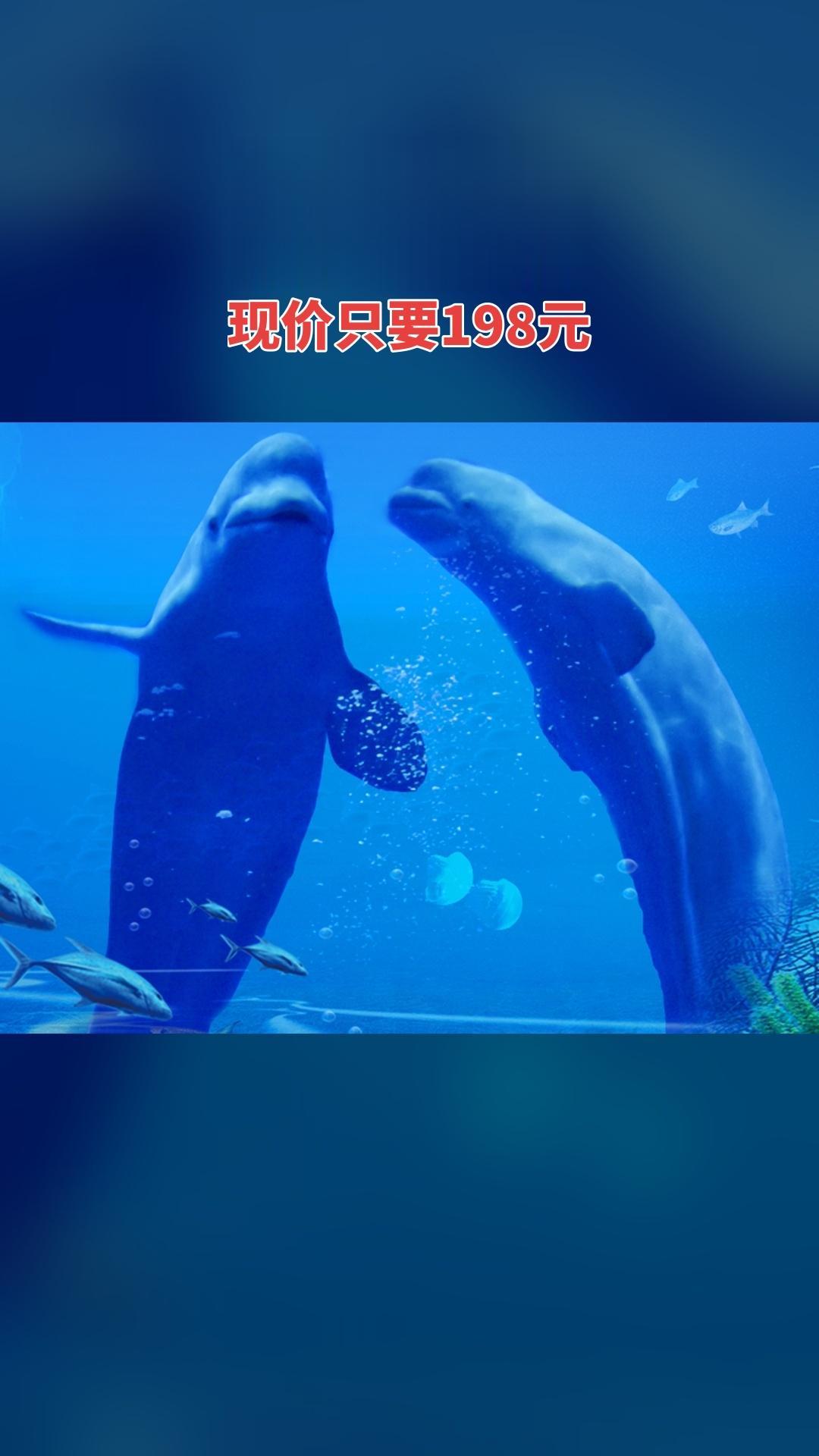 冰雪海洋世界，特卖新品，囤货好时机，双人票，景区官方、随时退·过期退