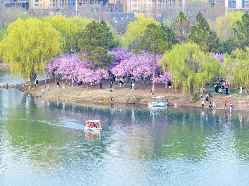 空谈大道意悠哉， 
笑语欢声入耳来。
 心旷神怡情自悦， 
身康体健福常陪。
 