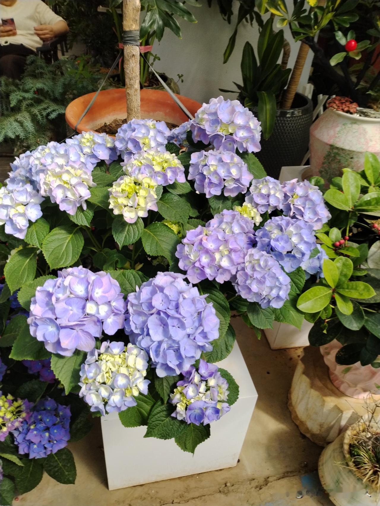 我这段时间天天加班没时间更新文章，它是真的没有流量啊[捂脸][捂脸]以后还是要天