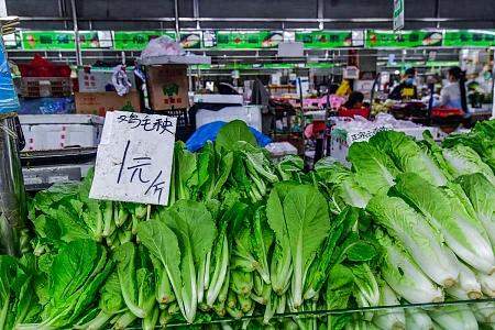 9月物价来了：菜肉降、蛋涨价、油涨最猛