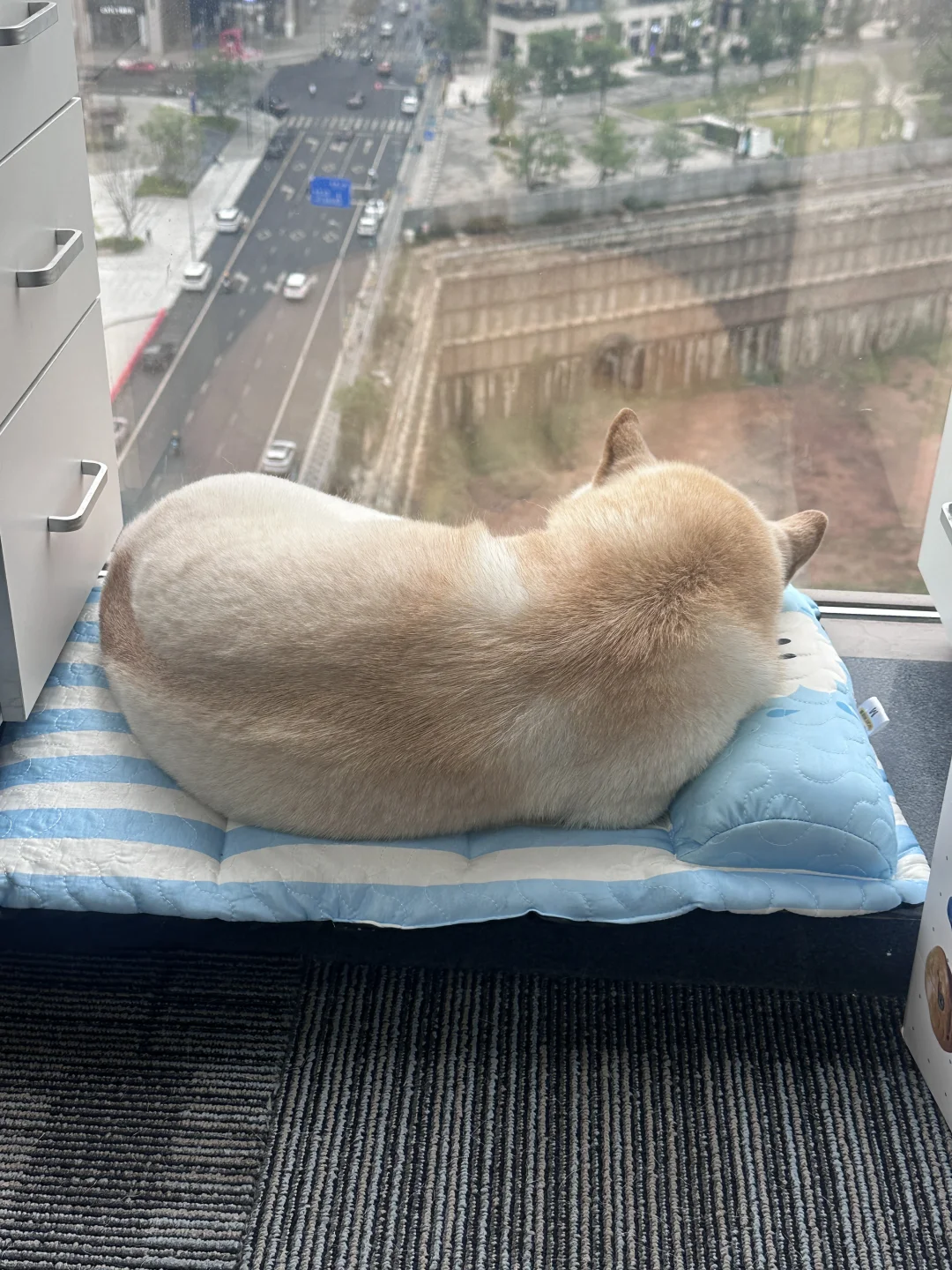 完美烤吐司🍞