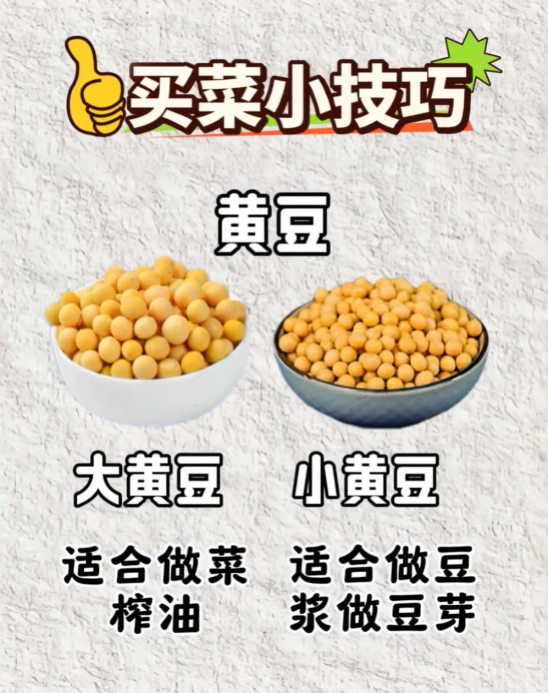 买菜小技巧 生活小常识 每天一起涨知识买菜挑选小技巧 家庭买菜技巧 蔬菜选购小妙