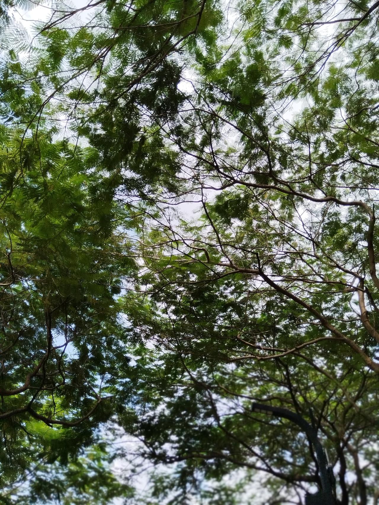 这样有啥用？不过让那些被嫖过的害怕。
真搞不懂，艾滋病是什么谁不知道？它的可怕之