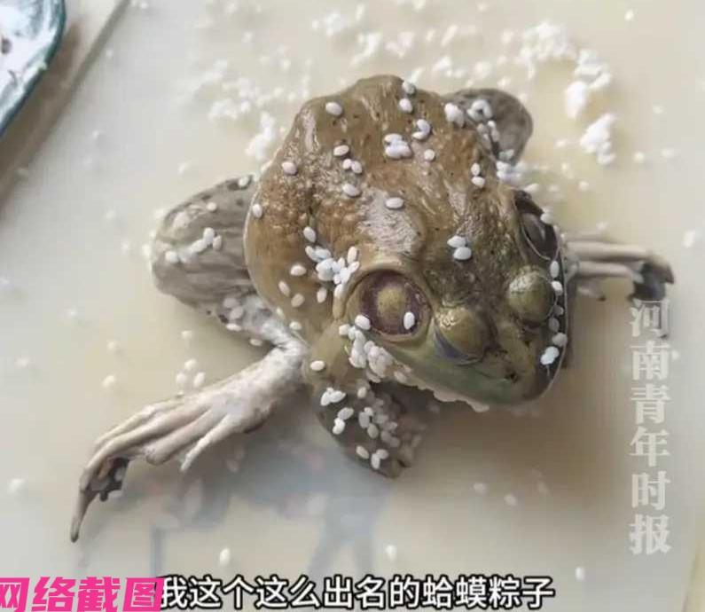 吉林有女子每年端午来临时都要在家包粽子，可女子所包裹的粽子不是咸的也不是甜的，而