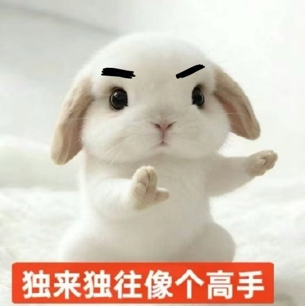 名分专属实时测试试一下试一下 