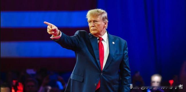 特朗普打算让世界转向美元——否则就没有生意。
唐纳德·特朗普。照片。
美国总统候