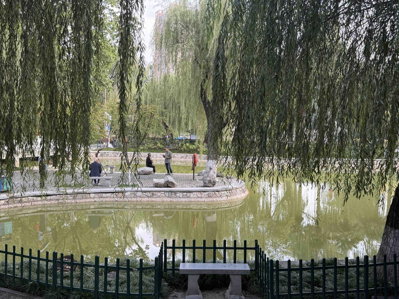 今天上午，我逛西安长乐公园。
走进公园，到处都是锻练强身和快乐娱乐的人群，有跳扇