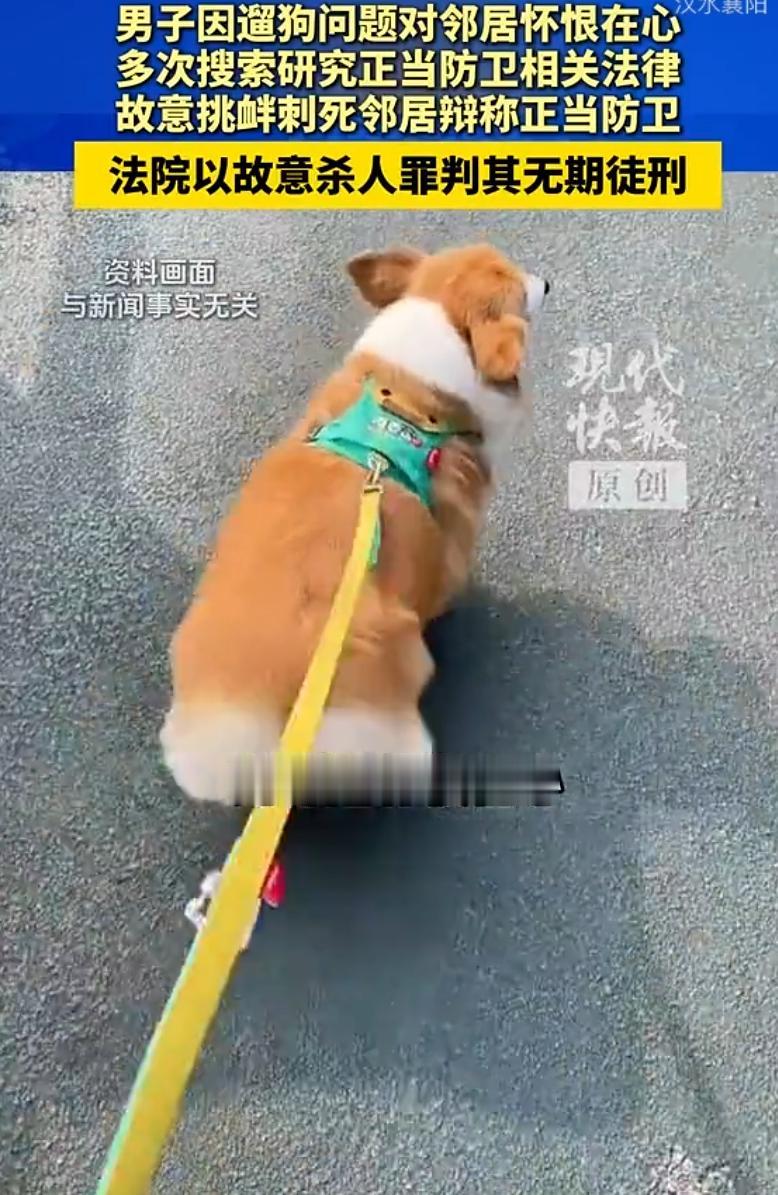 内蒙古，男子黄某钻研法律案例，设局挑衅邻居，持刀致人死亡，法院认定防卫挑拨不予认