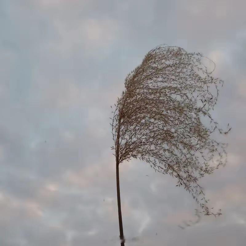 散户在股市输得惨，贪心跟风炒股是俩大“元凶”。就说贪心，很多散户总想着一夜暴富。