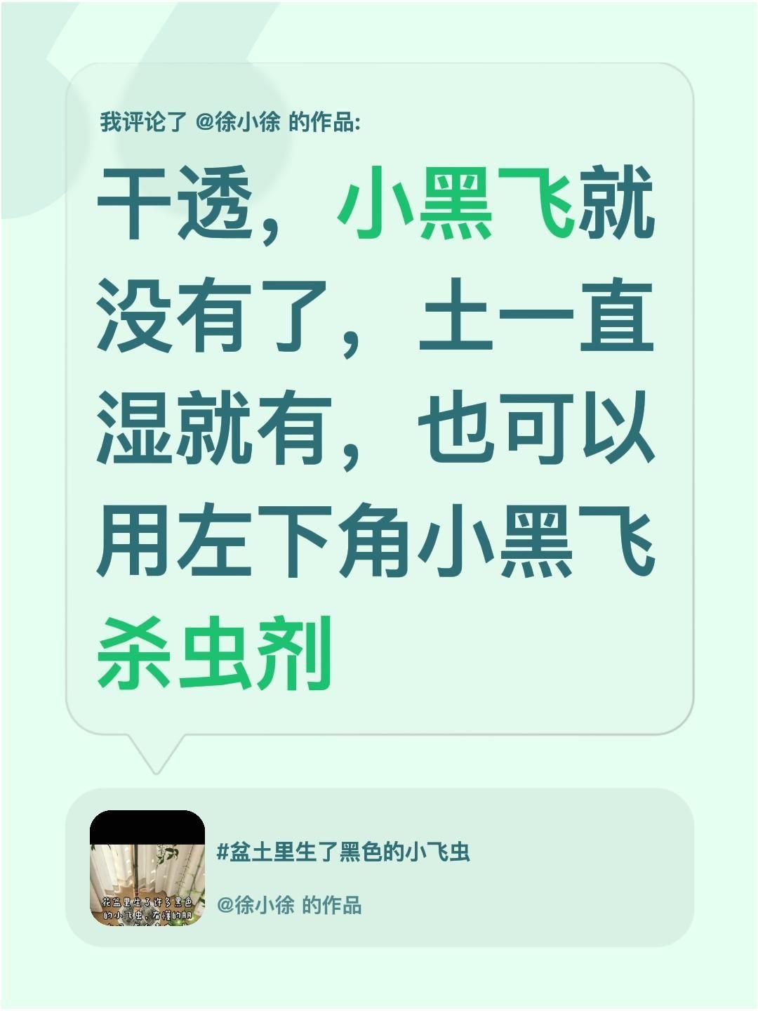 土壤里有小黑飞怎么办？我评论了@徐小徐 的作品：
干透，小黑飞就没有了，土一直湿